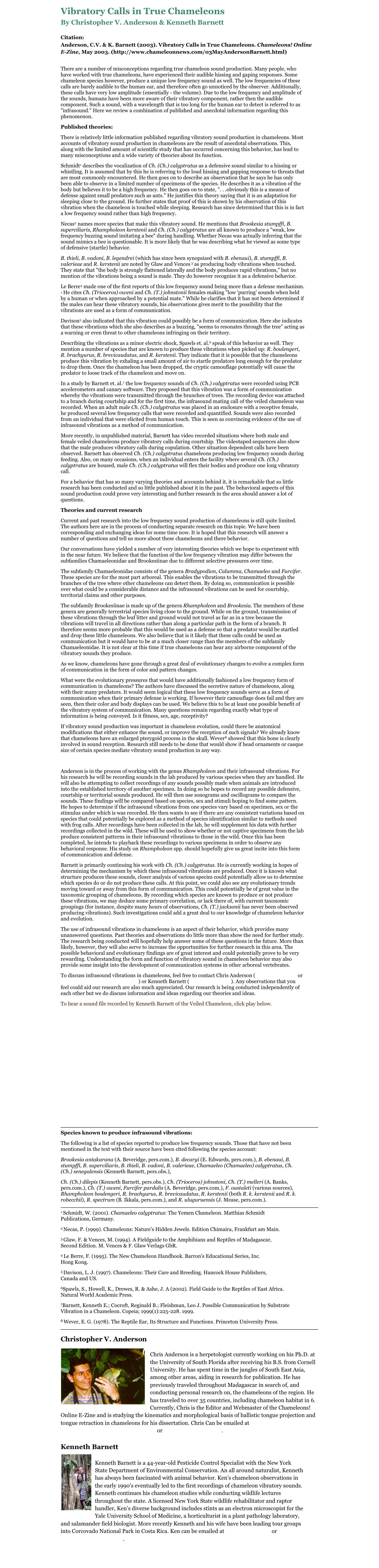 Vibratory Calls in True Chameleons
By Christopher V. Anderson & Kenneth Barnett

Citation:
Anderson, C.V. & K. Barnett (2003). Vibratory Calls in True Chameleons. Chameleons! Online E-Zine, May 2003. (http://www.chameleonnews.com/03MayAndersonBarnett.html)

There are a number of misconceptions regarding true chameleon sound production. Many people, who have worked with true chameleons, have experienced their audible hissing and gaping responses. Some chameleon species however, produce a unique low frequency sound as well. The low frequencies of these calls are barely audible to the human ear, and therefore often go unnoticed by the observer. Additionally, these calls have very low amplitude (essentially - the volume). Due to the low frequency and amplitude of the sounds, humans have been more aware of their vibratory component, rather then the audible component. Such a sound, with a wavelength that is too long for the human ear to detect is referred to as "infrasound." Here we review a combination of published and anecdotal information regarding this phenomenon.
Published theories:
There is relatively little information published regarding vibratory sound production in chameleons. Most accounts of vibratory sound production in chameleons are the result of anecdotal observations. This, along with the limited amount of scientific study that has occurred concerning this behavior, has lead to many misconceptions and a wide variety of theories about its function.
Schmidt1 describes the vocalization of Ch. (Ch.) calyptratus as a defensive sound similar to a hissing or whistling. It is assumed that by this he is referring to the loud hissing and gapping response to threats that are most commonly encountered. He then goes on to describe an observation that he says he has only been able to observe in a limited number of specimens of the species. He describes it as a vibration of the body but believes it to be a high frequency. He then goes on to state, ". . .obviously this is a means of defense against small predators such as ants." He justifies this theory saying that it is an adaptation for sleeping close to the ground. He further states that proof of this is shown by his observation of this vibration when the chameleon is touched while sleeping. Research has since determined that this is in fact a low frequency sound rather than high frequency.
Necas2 names more species that make this vibratory sound. He mentions that Brookesia stumpffi, B. superciliaris, Rhampholeon kerstenii and Ch. (Ch.) calyptratus are all known to produce a "weak, low frequency buzzing sound imitating a bee" during handling. Whether Necas was actually inferring that the sound mimics a bee is questionable. It is more likely that he was describing what he viewed as some type of defensive (startle) behavior.
B. thieli, B. vadoni, B. legendrei (which has since been synopsized with B. ebenaui), B. stumpffi, B. valerieae and R. kerstenii are noted by Glaw and Vences 3 as producing body vibrations when touched. They state that "the body is strongly flattened laterally and the body produces rapid vibrations," but no mention of the vibrations being a sound is made. They do however recognize it as a defensive behavior.
Le Berre4 made one of the first reports of this low frequency sound being more than a defense mechanism.4 He cites Ch. (Trioceros) oweni and Ch. (T.) johnstonii females making "low 'purring' sounds when held by a human or when approached by a potential mate." While he clarifies that it has not been determined if the males can hear these vibratory sounds, his observations gives merit to the possibility that the vibrations are used as a form of communication.
Davison5 also indicated that this vibration could possibly be a form of communication. Here she indicates that these vibrations which she also describes as a buzzing, "seems to resonates through the tree" acting as a warning or even threat to other chameleons infringing on their territory.
Describing the vibrations as a minor electric shock, Spawls et. al.6 speak of this behavior as well. They mention a number of species that are known to produce these vibrations when picked up: R. boulengeri, R. brachyurus, R. brevicaudatus, and R. kerstenii. They indicate that it is possible that the chameleons produce this vibration by exhaling a small amount of air to startle predators long enough for the predator to drop them. Once the chameleon has been dropped, the cryptic camouflage potentially will cause the predator to loose track of the chameleon and move on.
In a study by Barnett et. al.7 the low frequency sounds of Ch. (Ch.) calyptratus were recorded using PCB accelerometers and canary software. They proposed that this vibration was a form of communication whereby the vibrations were transmitted through the branches of trees. The recording device was attached to a branch during courtship and for the first time, the infrasound mating call of the veiled chameleon was recorded. When an adult male Ch. (Ch.) calyptratus was placed in an enclosure with a receptive female, he produced several low frequency calls that were recorded and quantified. Sounds were also recorded from an individual that were elicited from human touch. This is seen as convincing evidence of the use of infrasound vibrations as a method of communication.
More recently, in unpublished material, Barnett has video recorded situations where both male and female veiled chameleons produce vibratory calls during courtship. The videotaped sequences also show that the male produces vibratory calls during copulation. Other situation dependent calls have been observed. Barnett has observed Ch. (Ch.) calyptratus chameleons producing low frequency sounds during feeding. Also, on many occasions, when an individual enters the facility where several Ch. (Ch.) calyptratus are housed, male Ch. (Ch.) calyptratus will flex their bodies and produce one long vibratory call.
For a behavior that has so many varying theories and accounts behind it, it is remarkable that so little research has been conducted and so little published about it in the past. The behavioral aspects of this sound production could prove very interesting and further research in the area should answer a lot of questions.
Theories and current research
Current and past research into the low frequency sound production of chameleons is still quite limited. The authors here are in the process of conducting separate research on this topic. We have been corresponding and exchanging ideas for some time now. It is hoped that this research will answer a number of questions and tell us more about these chameleons and there behavior.
Our conversations have yielded a number of very interesting theories which we hope to experiment with in the near future. We believe that the function of the low frequency vibration may differ between the subfamilies Chamaeleonidae and Brookesiinae due to different selective pressures over time. 
The subfamily Chamaeleonidae consists of the genera Bradypodion, Calumma, Chamaeleo and Furcifer. These species are for the most part arboreal. This enables the vibrations to be transmitted through the branches of the tree where other chameleons can detect them. By doing so, communication is possible over what could be a considerable distance and the infrasound vibrations can be used for courtship, territorial claims and other purposes.
The subfamily Brookesiinae is made up of the genera Rhampholeon and Brookesia. The members of these genera are generally terrestrial species living close to the ground. While on the ground, transmission of these vibrations through the leaf litter and ground would not travel as far as in a tree because the vibrations will travel in all directions rather than along a particular path in the form of a branch. It therefore seems more probable that this would be used as a defense so that a predator would be startled and drop these little chameleons. We also believe that is it likely that these calls could be used as communication but it would have to be at a much closer range than the members of the subfamily Chamaeleonidae. It is not clear at this time if true chameleons can hear any airborne component of the vibratory sounds they produce.
As we know, chameleons have gone through a great deal of evolutionary changes to evolve a complex form of communication in the form of color and pattern changes.
What were the evolutionary pressures that would have additionally fashioned a low frequency form of communication in chameleons? The authors have discussed the secretive nature of chameleons, along with their many predators. It would seem logical that these low frequency sounds serve as a form of communication when their primary defense is working. If however their camouflage does fail and they are seen, then their color and body displays can be used. We believe this to be at least one possible benefit of the vibratory system of communication. Many questions remain regarding exactly what type of information is being conveyed. Is it fitness, sex, age, receptivity? 
If vibratory sound production was important in chameleon evolution, could there be anatomical modifications that either enhance the sound, or improve the reception of such signals? We already know that chameleons have an enlarged pterygoid process in the skull. Wever8 showed that this bone is clearly involved in sound reception. Research still needs to be done that would show if head ornaments or casque size of certain species mediate vibratory sound production in any way.

Anderson is in the process of working with the genus Rhampholeon and their infrasound vibrations. For his research he will be recording sounds in the lab produced by various species when they are handled. He will also be attempting to collect recordings of any sounds possibly made when animals are introduced into the established territory of another specimen. In doing so he hopes to record any possible defensive, courtship or territorial sounds produced. He will then use sonograms and oscillograms to compare the sounds. These findings will be compared based on species, sex and stimuli hoping to find some pattern. He hopes to determine if the infrasound vibrations from one species vary based on specimen, sex or the stimulus under which is was recorded. He then wants to see if there are any consistent variations based on species that could potentially be explored as a method of species identification similar to methods used with frog calls. After recordings have been collected in the lab, he will supplement his data with further recordings collected in the wild. These will be used to show whether or not captive specimens from the lab produce consistent patterns in their infrasound vibrations to those in the wild. Once this has been completed, he intends to playback these recordings to various specimens in order to observe any behavioral response. His study on Rhampholeon spp. should hopefully give us great incite into this form of communication and defense.
Barnett is primarily continuing his work with Ch. (Ch.) calyptratus. He is currently working in hopes of determining the mechanism by which these infrasound vibrations are produced. Once it is known what structure produces these sounds, closer analysis of various species could potentially allow us to determine which species do or do not produce these calls. At this point, we could also see any evolutionary trends moving toward or away from this form of communication. This could potentially be of great value in the taxonomic grouping of chameleons. By recording which species are known to produce or not produce these vibrations, we may deduce some primary correlation, or lack there of, with current taxonomic groupings (for instance, despite many hours of observations, Ch. (T.) jacksonii has never been observed producing vibrations). Such investigations could add a great deal to our knowledge of chameleon behavior and evolution.
The use of infrasound vibrations in chameleons is an aspect of their behavior, which provides many unanswered questions. Past theories and observations do little more than show the need for further study. The research being conducted will hopefully help answer some of these questions in the future. More than likely, however, they will also serve to increase the opportunities for further research in this area. The possible behavioral and evolutionary findings are of great interest and could potentially prove to be very rewarding. Understanding the form and function of vibratory sound in chameleon behavior may also provide some insight into the development of communication systems in other arboreal vertebrates.
To discuss infrasound vibrations in chameleons, feel free to contact Chris Anderson (cva3@cornell.edu or parsonii_hoehnelii@hotmail.com) or Kenneth Barnett (kbgecko@aol.com). Any observations that you feel could aid our research are also much appreciated. Our research is being conducted independently of each other but we do discuss information and ideas regarding our theories and ideas.
To hear a sound file recorded by Kenneth Barnett of the Veiled Chameleon, click play below.
￼

￼
Species known to produce infrasound vibrations:
The following is a list of species reported to produce low frequency sounds. Those that have not been mentioned in the text with their source have been cited following the species account:
Brookesia antakarana (A. Beveridge, pers.com.), B. decaryi (E. Edwards, pers.com.), B. ebenaui, B. stumpffi, B. superciliaris, B. thieli, B. vadoni, B. valerieae, Chamaeleo (Chamaeleo) calyptratus, Ch. (Ch.) senegalensis (Kenneth Barnett, pers.obs.),
Ch. (Ch.) dilepis (Kenneth Barnett, pers.obs.), Ch. (Trioceros) johnstoni, Ch. (T.) melleri (A. Banks, pers.com.), Ch. (T.) oweni, Furcifer pardalis (A. Beveridge, pers.com.), F. oustaleti (various sources), Rhampholeon boulengeri, R. brachyurus, R. brevicaudatus, R. kerstenii (both R. k. kerstenii and R. k. robecchii), R. spectrum (B. Ikkala, pers.com.), and R. uluguruensis (J. Mease, pers.com.).
￼
1 Schmidt, W. (2001). Chamaeleo calyptratus: The Yemen Chameleon. Matthias Schmidt Publications, Germany.
2 Necas, P. (1999). Chameleons: Nature's Hidden Jewels. Edition Chimaira, Frankfurt am Main.
3 Glaw, F. & Vences, M. (1994). A Fieldguide to the Amphibians and Reptiles of Madagascar, Second Edition. M. Vences & F. Glaw Verlags GbR.
4 Le Berre, F. (1995). The New Chameleon Handbook. Barron's Educational Series, Inc. Hong Kong.
5 Davison, L. J. (1997). Chameleons: Their Care and Breeding. Hancock House Publishers, Canada and US.
6Spawls, S., Howell, K., Drewes, R. & Ashe, J. A (2002). Field Guide to the Reptiles of East Africa. Natural World Academic Press.
7Barnett, Kenneth E.; Cocroft, Reginald B.; Fleishman, Leo J. Possible Communication by Substrate Vibration in a Chameleon. Copeia; 1999(1):225-228. 1999.
8 Wever, E. G. (1978). The Reptile Ear, Its Structure and Functions. Princeton University Press.
￼
Christopher V. Anderson
￼
Chris Anderson is a herpetologist currently working on his Ph.D. at the University of South Florida after receiving his B.S. from Cornell University. He has spent time in the jungles of South East Asia, among other areas, aiding in research for publication. He has previously traveled throughout Madagascar in search of, and conducting personal research on, the chameleons of the region. He has traveled to over 35 countries, including chameleon habitat in 6. Currently, Chris is the Editor and Webmaster of the Chameleons! Online E-Zine and is studying the kinematics and morphological basis of ballistic tongue projection and tongue retraction in chameleons for his dissertation. Chris Can be emailed at Chris.Anderson@chameleonnews.com or cvanders@mail.usf.edu.

Kenneth Barnett
￼
Kenneth Barnett is a 44-year-old Pesticide Control Specialist with the New York State Department of Environmental Conservation. An all around naturalist, Kenneth has always been fascinated with animal behavior. Ken’s chameleon observations in the early 1990’s eventually led to the first recordings of chameleon vibratory sounds. Kenneth continues his chameleon studies while conducting wildlife lectures throughout the state. A licensed New York State wildlife rehabilitator and raptor handler, Ken’s diverse background includes stints as an electron microscopist for the Yale University School of Medicine, a horticulturist in a plant pathology laboratory, and salamander field biologist. More recently Kenneth and his wife have been leading tour groups into Corcovado National Park in Costa Rica. Ken can be emailed at kbgecko@aol.com or natureXchange@aol.com.


